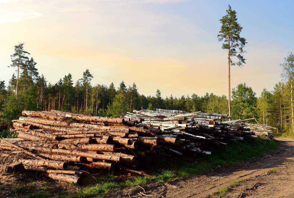 Ecosheet preventing deforestation